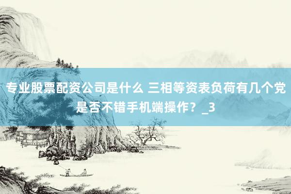 专业股票配资公司是什么 三相等资表负荷有几个党是否不错手机端操作？_3