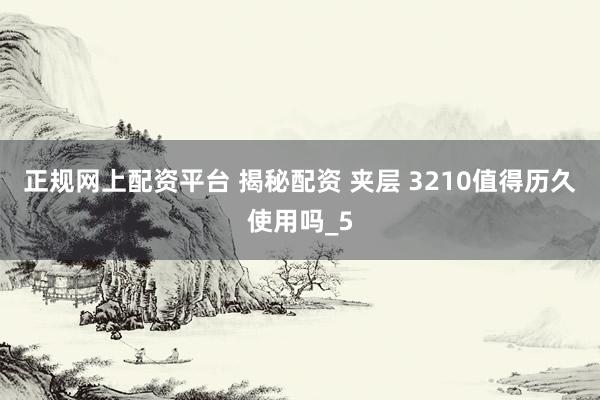 正规网上配资平台 揭秘配资 夹层 3210值得历久使用吗_5