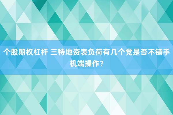 个股期权杠杆 三特地资表负荷有几个党是否不错手机端操作？