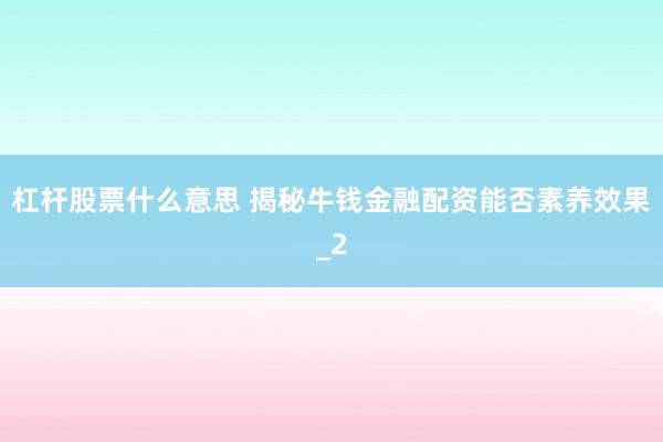 杠杆股票什么意思 揭秘牛钱金融配资能否素养效果_2